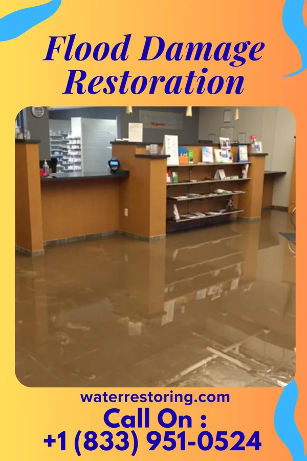 Flood Damage Restoration in Goodlow, TX