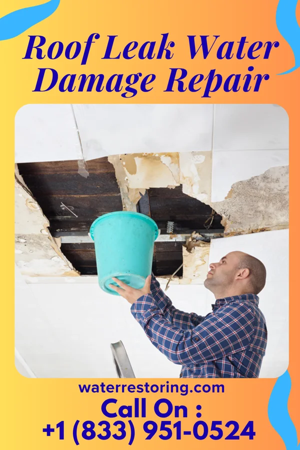 Roof Leak Water Damage Repair in Goodlow, TX