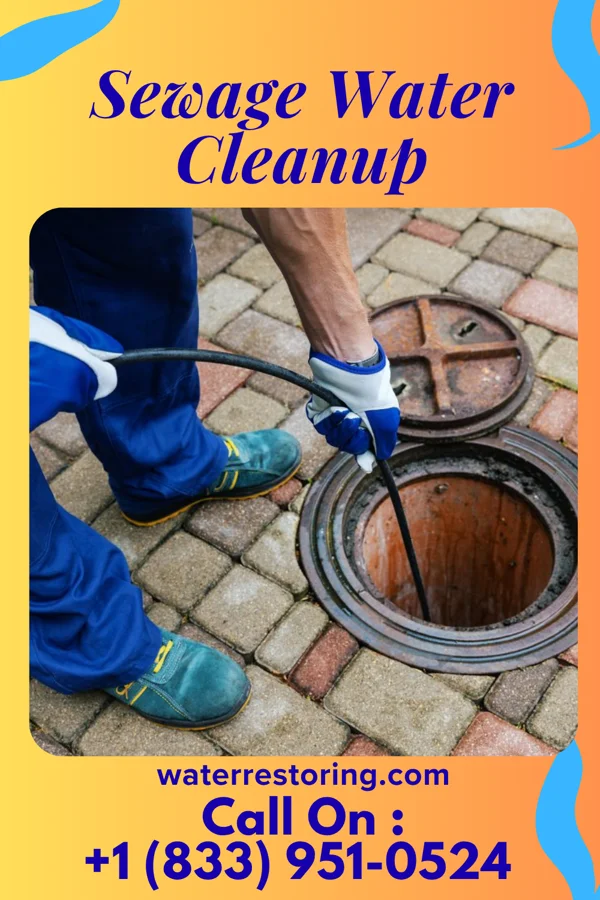 Sewage Water Cleanup in Goodlow, TX