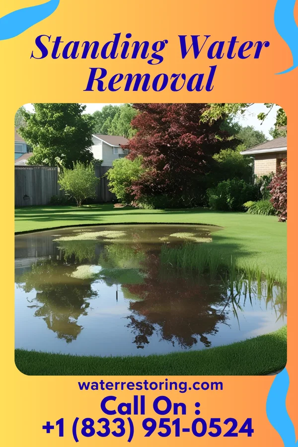 Standing Water Removal in Goodlow, TX